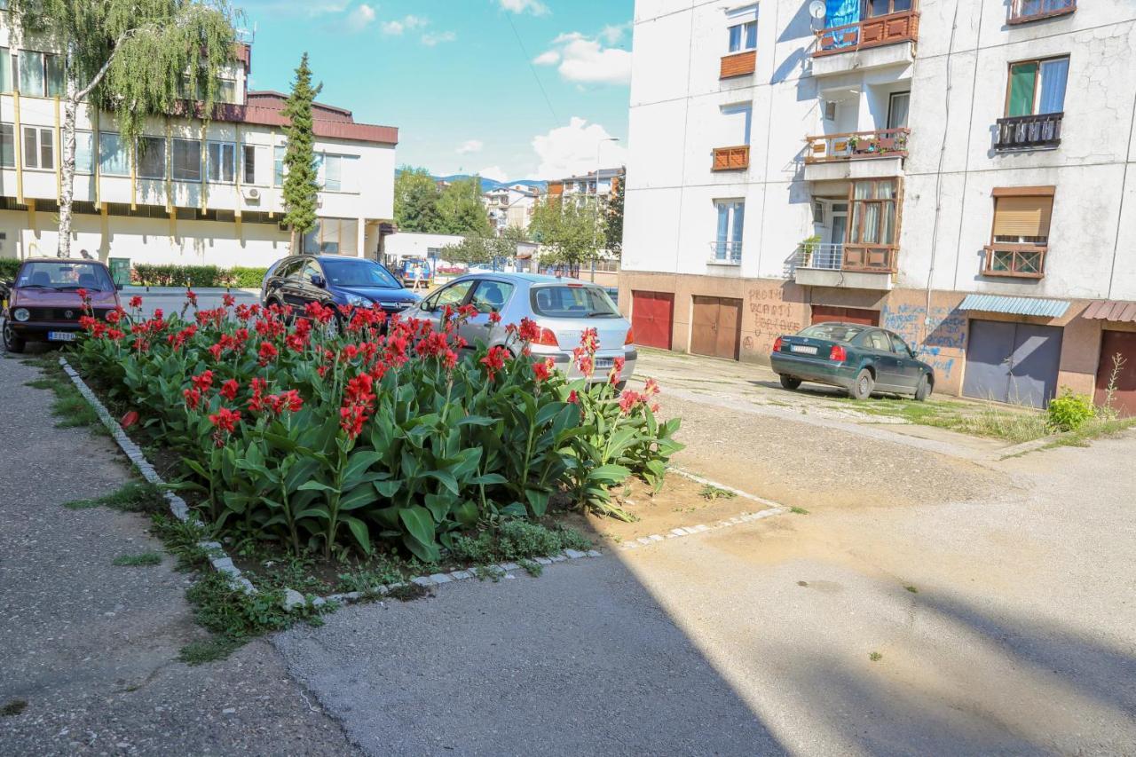 Apartamento Apartman Marija Pirot Exterior foto